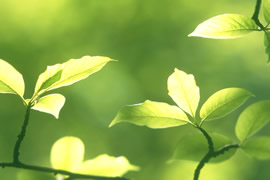 わたなべクリニック　リハビリテーション・音楽療法・3B体操