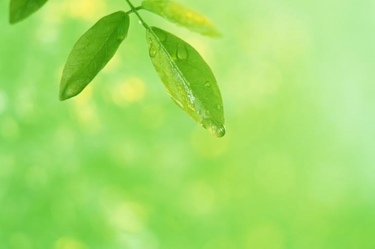 わたなべクリニック 内科