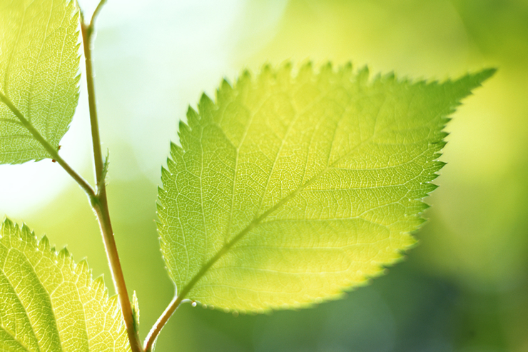 わたなべクリニック　足の外来