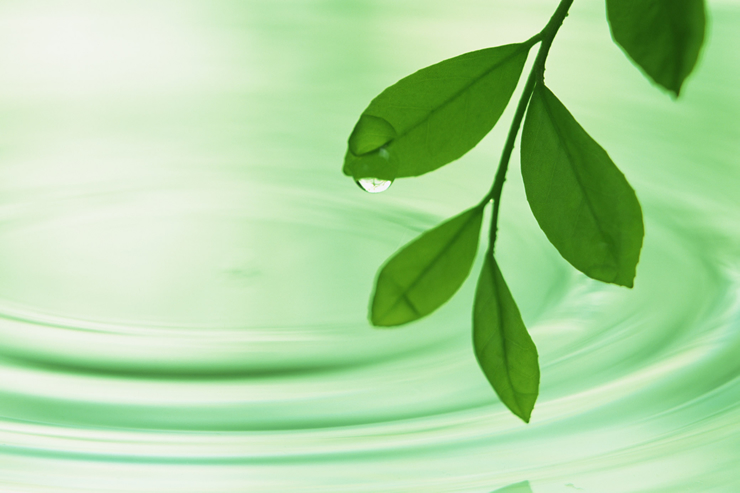 わたなべクリニック　心理相談